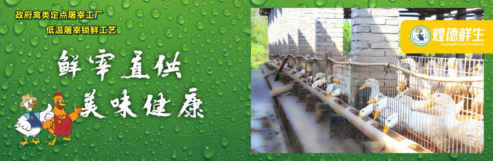 易游m6