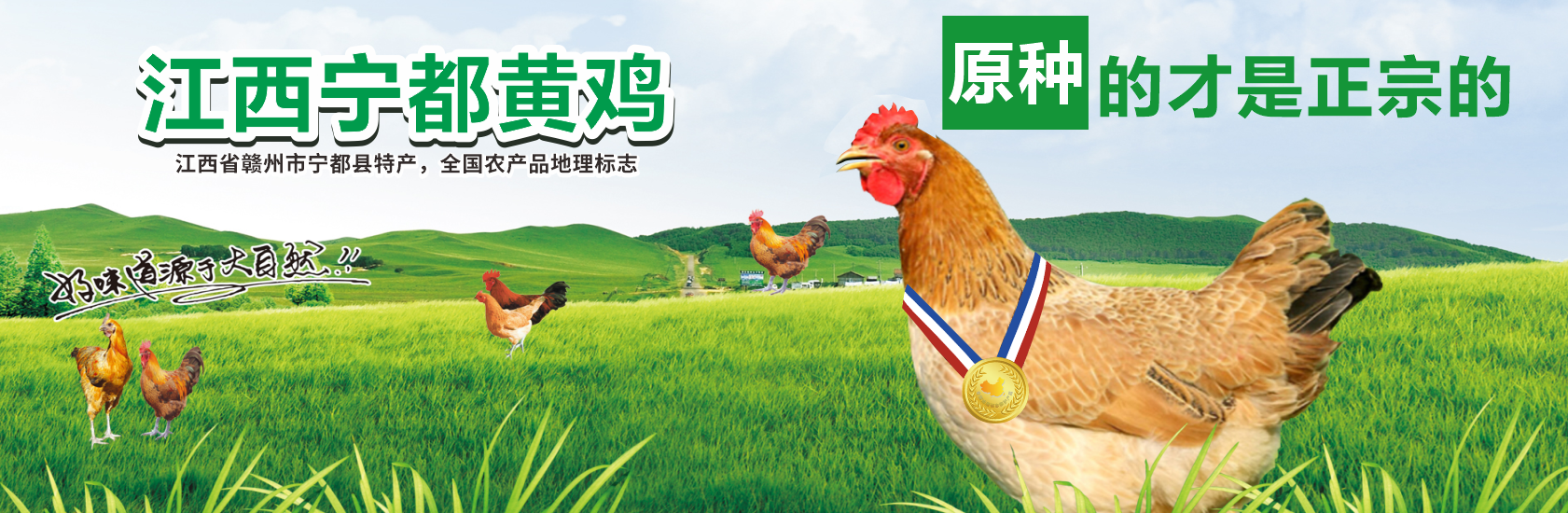 易游m6